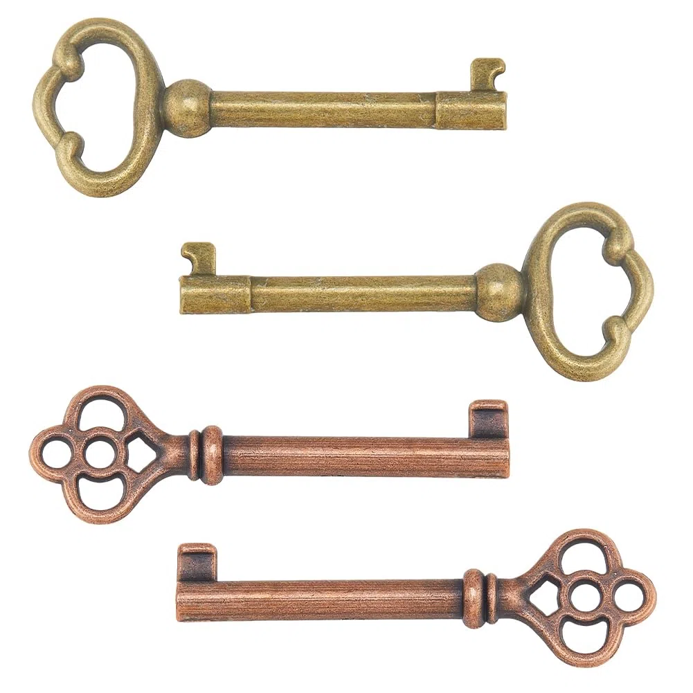 DICOSMETIC 4 chiavi a forma di scheletro in 2 stili, chiave vintage cava in lega, chiavi universali di ricambio per armadietti, porte, cassettiere, orologi da pavimento