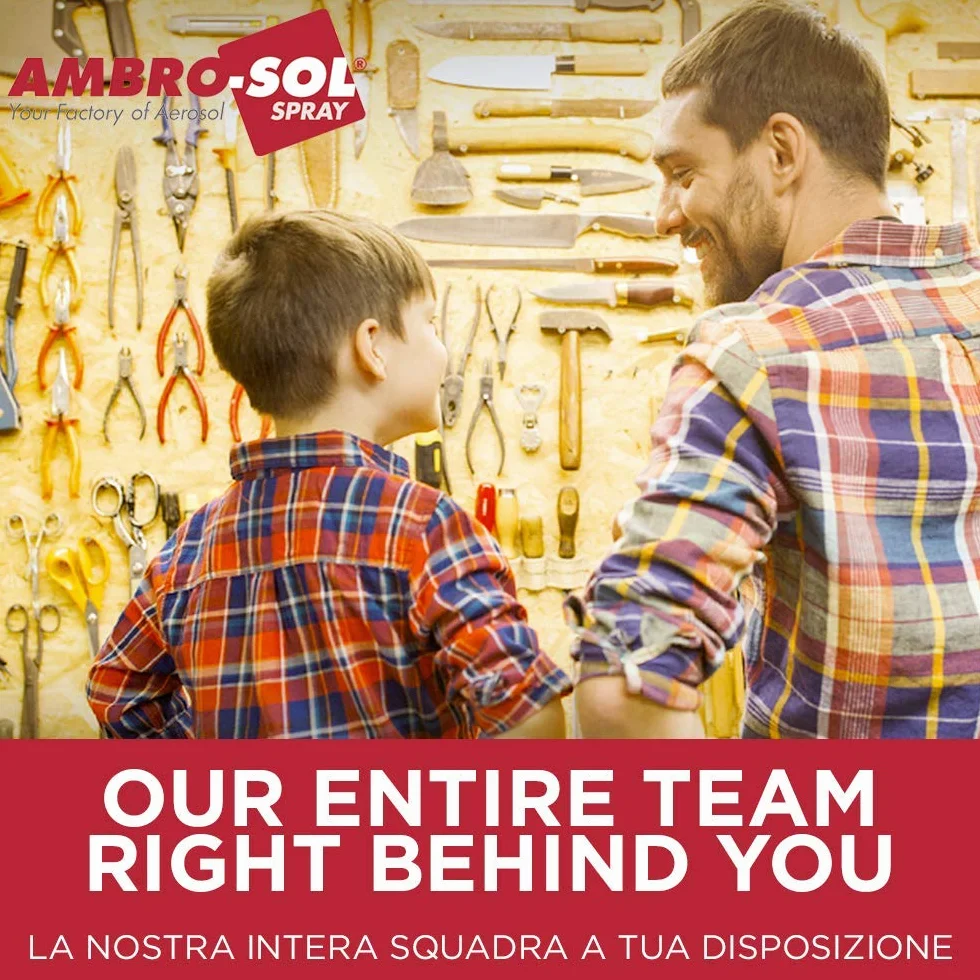 Ambro-Sol V500COPRI Spray Coprimacchia, Copre e Difende le Pareti dalle Macchie più Ostili, Asciugatura Super Rapida, Bomboletta Spray in Banda Stagnata Riciclabile 500 ml